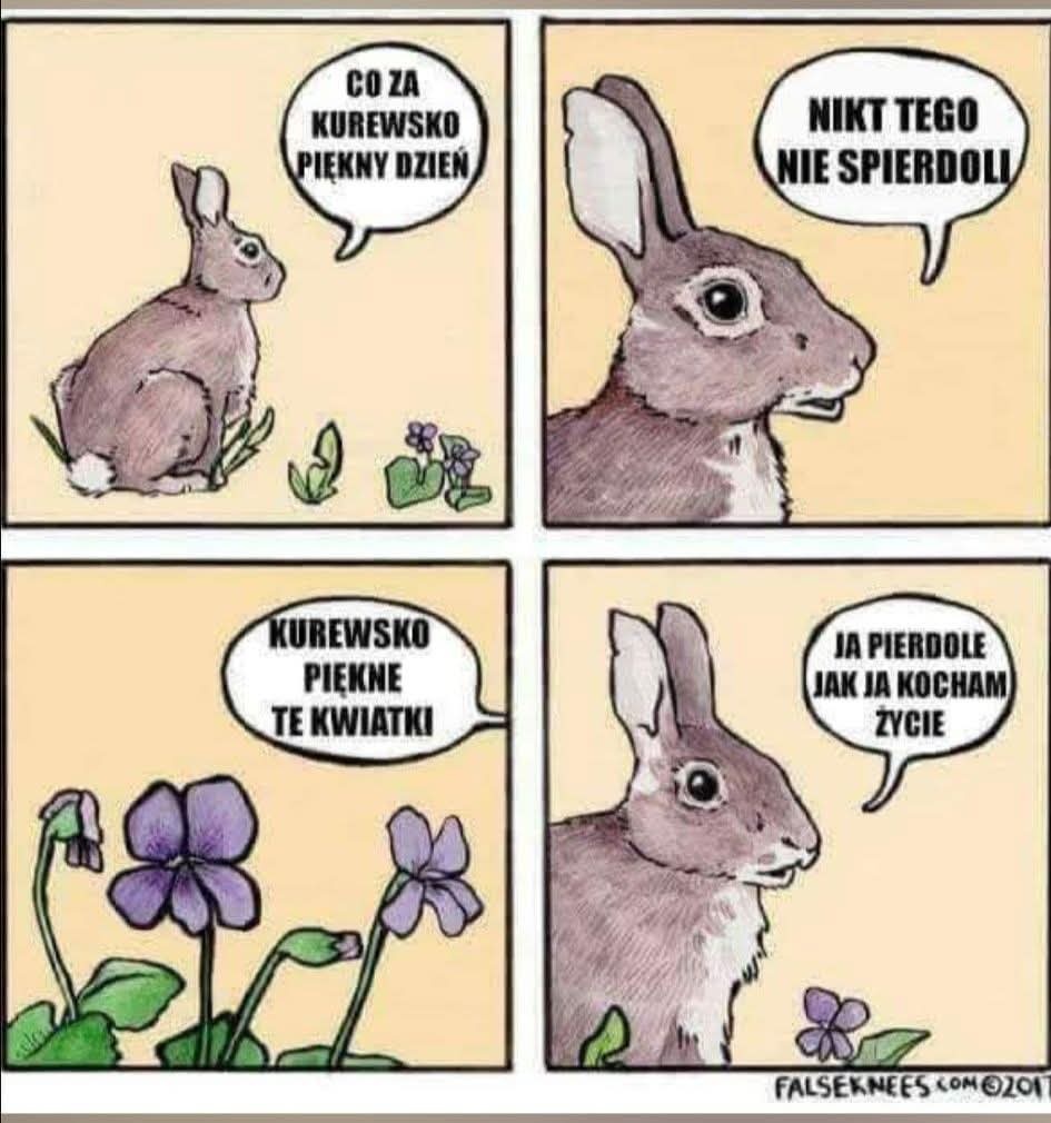 72815945-c697-4ea5-8b25-f698fc19b1f9