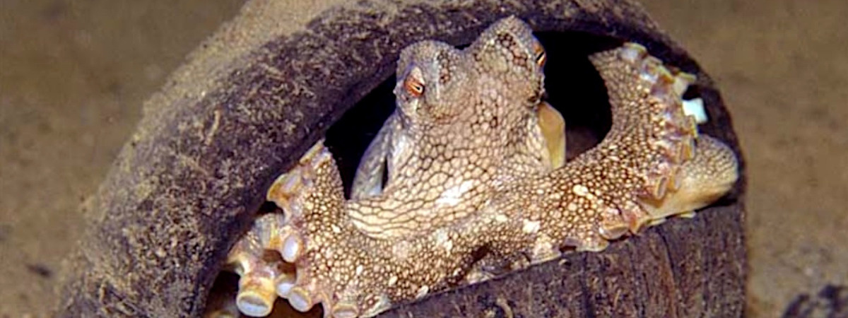 899cee8c-fff7-466d-8ffb-200665844813