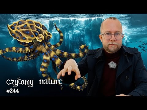 Ośmiornice: seks i przemoc - Śnieżyca na 11 mld ton - Elektrobot | Czytamy naturę 244