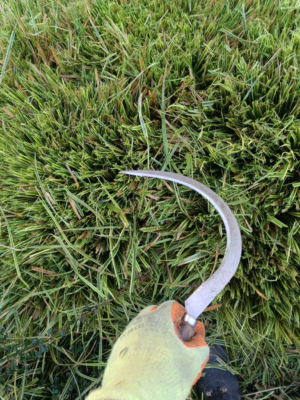 9b2fdc1c-0b3f-463a-8361-6d91f428ca9d