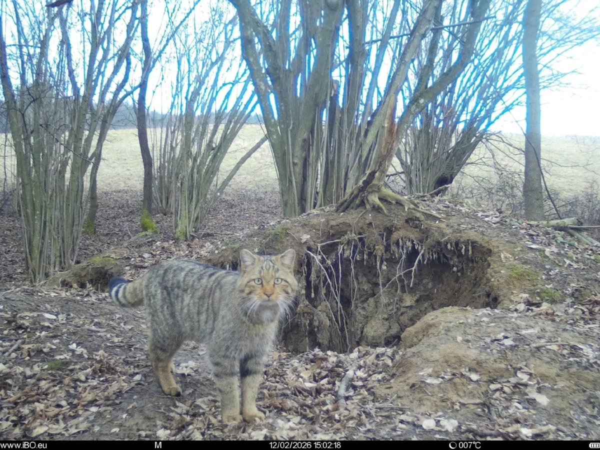 f8335dea-288c-475e-89a3-1dcac9cf5ffd