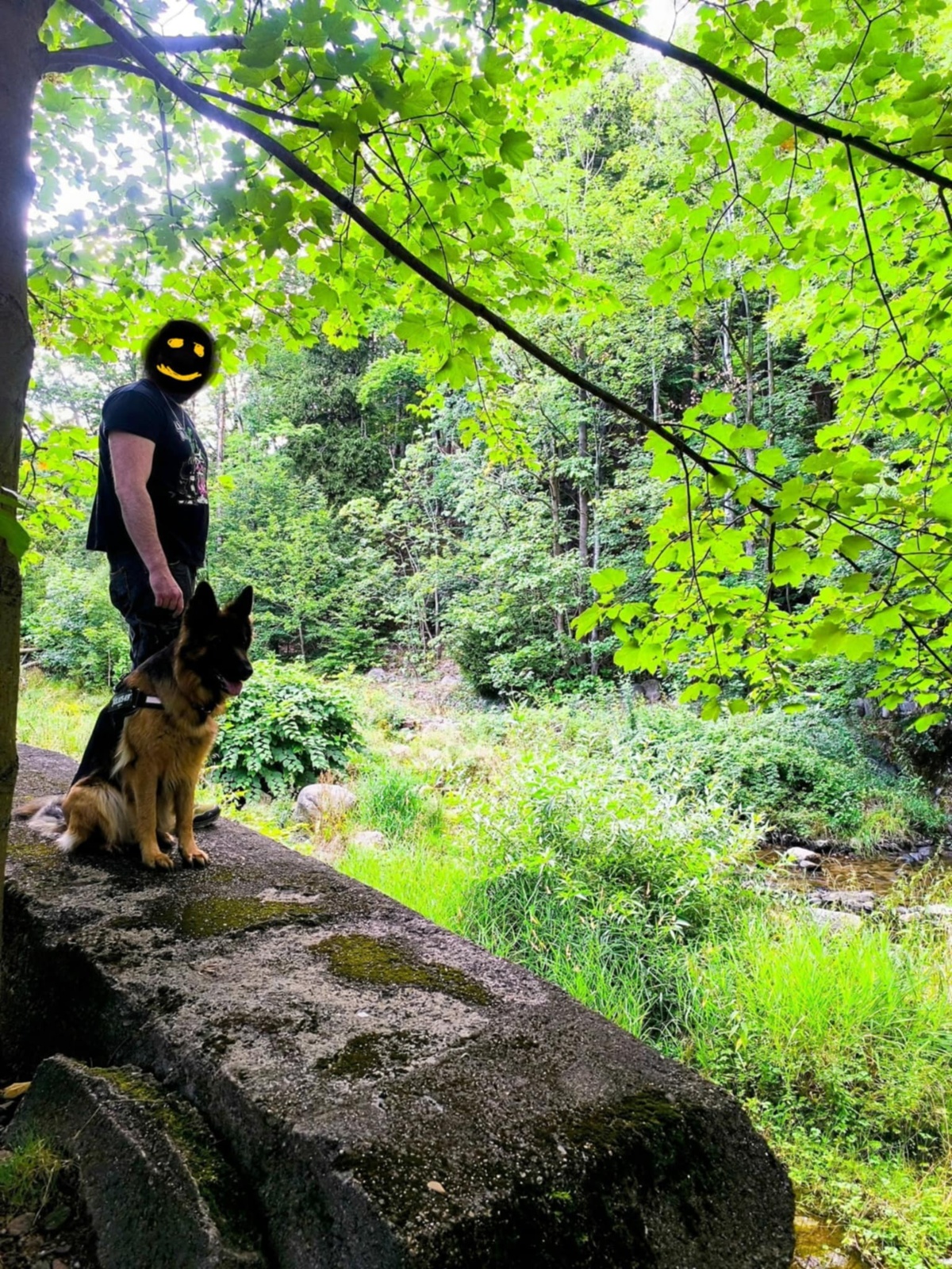 e2831fe2-ae73-4a24-a657-c6c58479a436