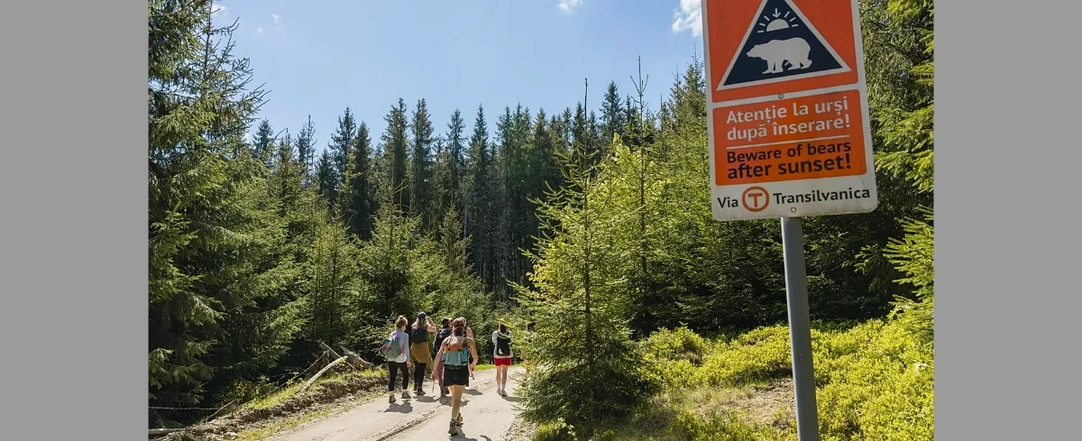Zapomnij o Camino de Santiago: rumuński szlak Via Transilvanica jest dziki, gościnny i spokojny