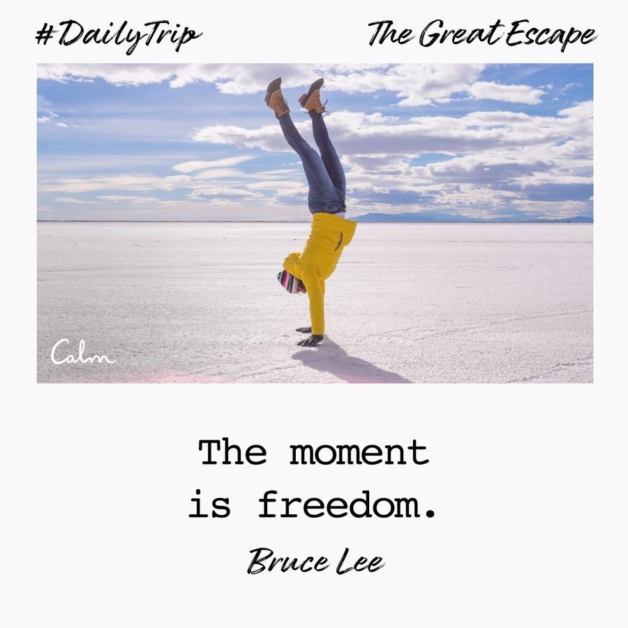 077190c6-15a8-4a73-b02a-ecbb7f86c4eb