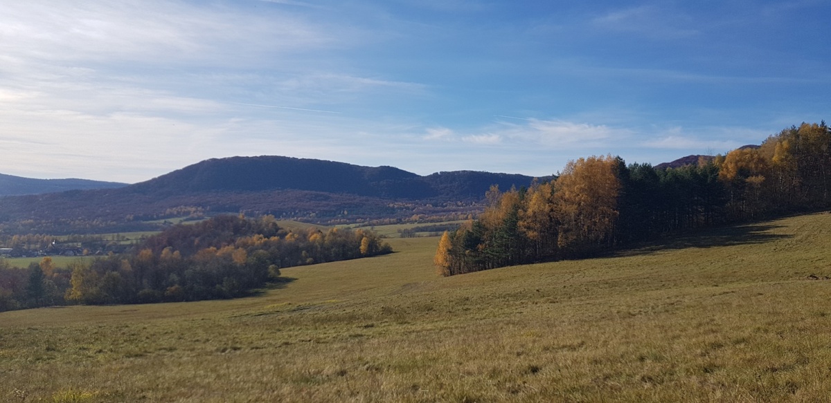 e1bbd7b8-cb8d-4ccf-b115-2bf983c4cade