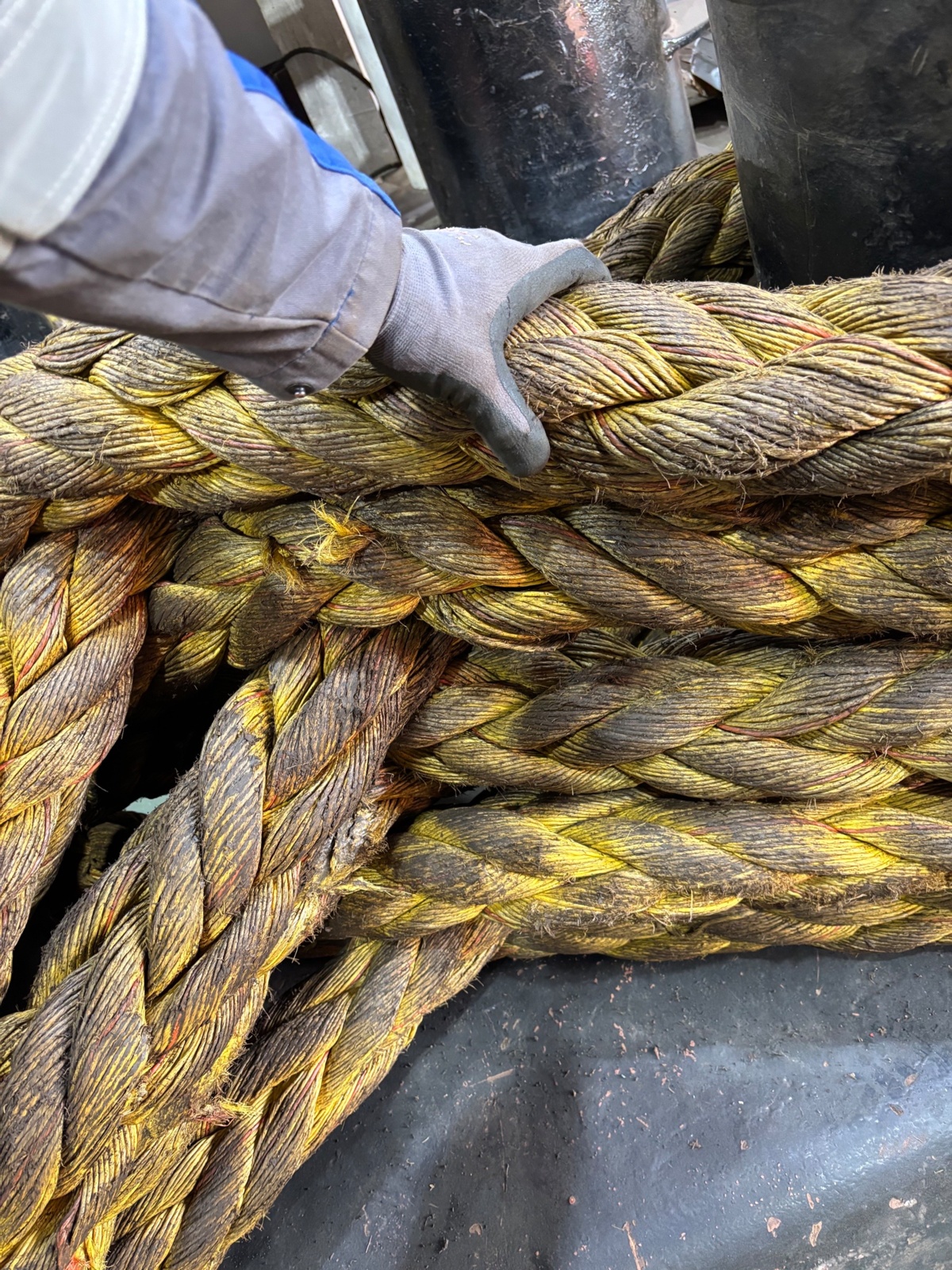 e442f4c9-7367-432c-8858-c04a713a587d