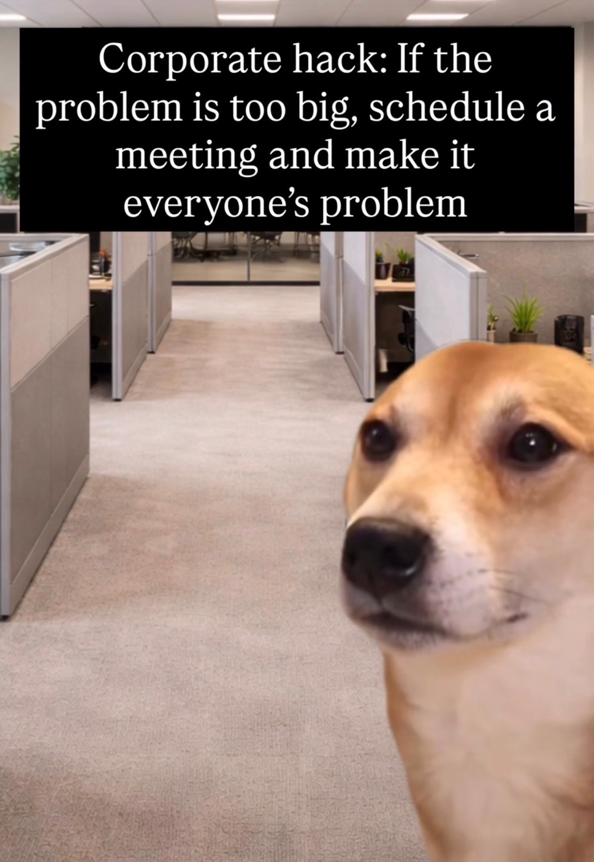 583a78a5-7c25-44d4-b39c-77081530d877