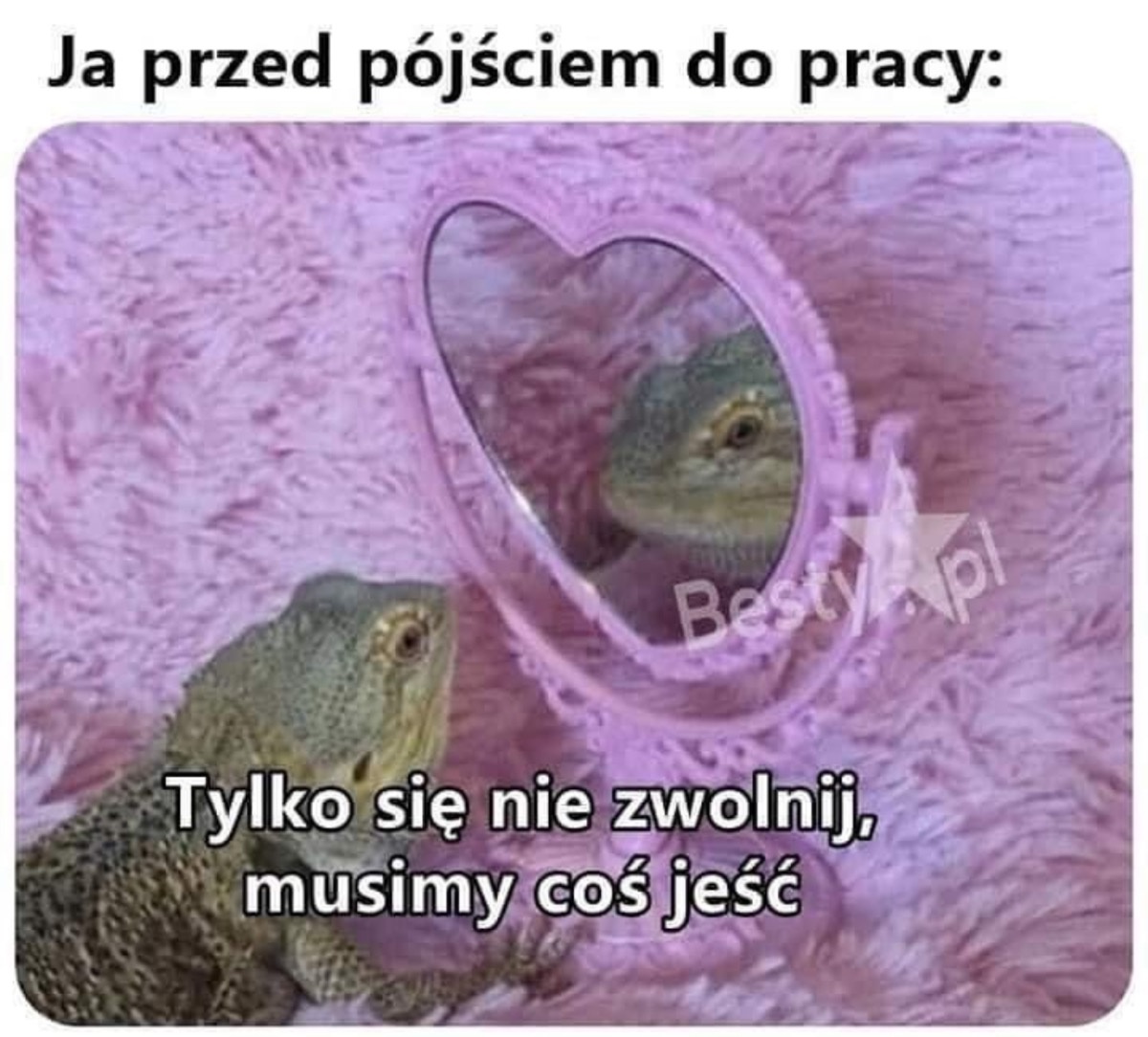 2c5058d6-c2a0-443e-a662-01f8ffb36cc2