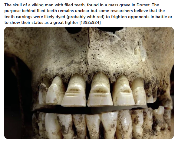 c966e059-0ff1-4320-bb3b-8d8016427a63