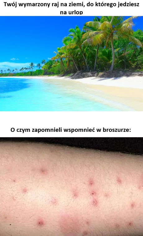 ecd473e4-70dd-4ac6-96ae-9c3f14920ff5