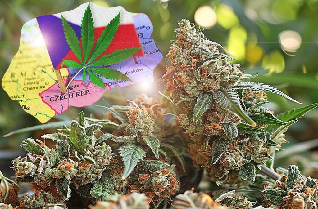 Marihuana w Czechach Jeszcze Bardziej Legalna