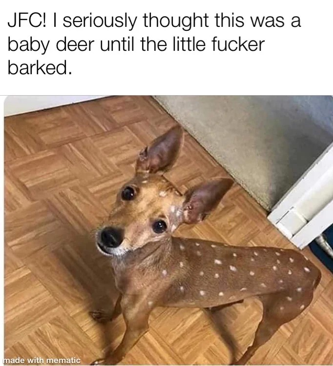 ec6ba19f-3cc3-47a4-9c84-839ac5522e5e