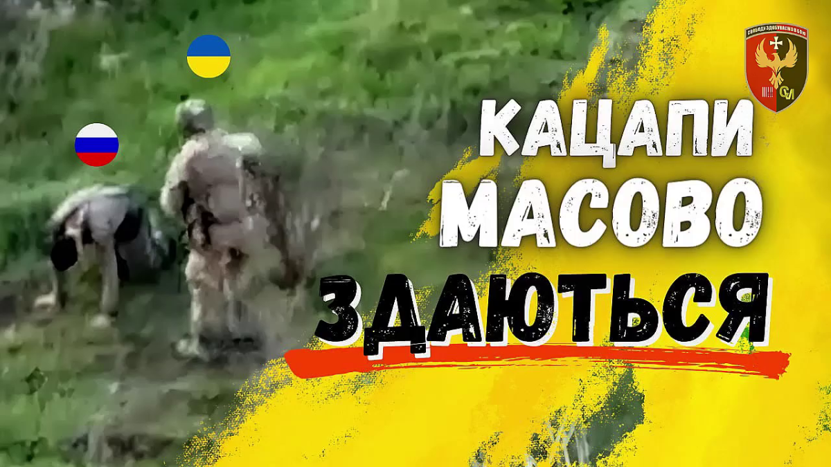 d64cf356-9119-4f61-a831-1b0e5733cb63