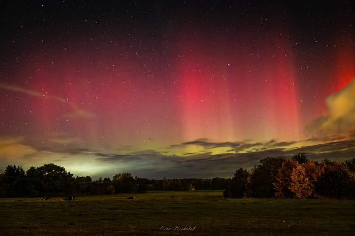 51d3bf03-e42d-4f4b-ae61-fa97cdce706a