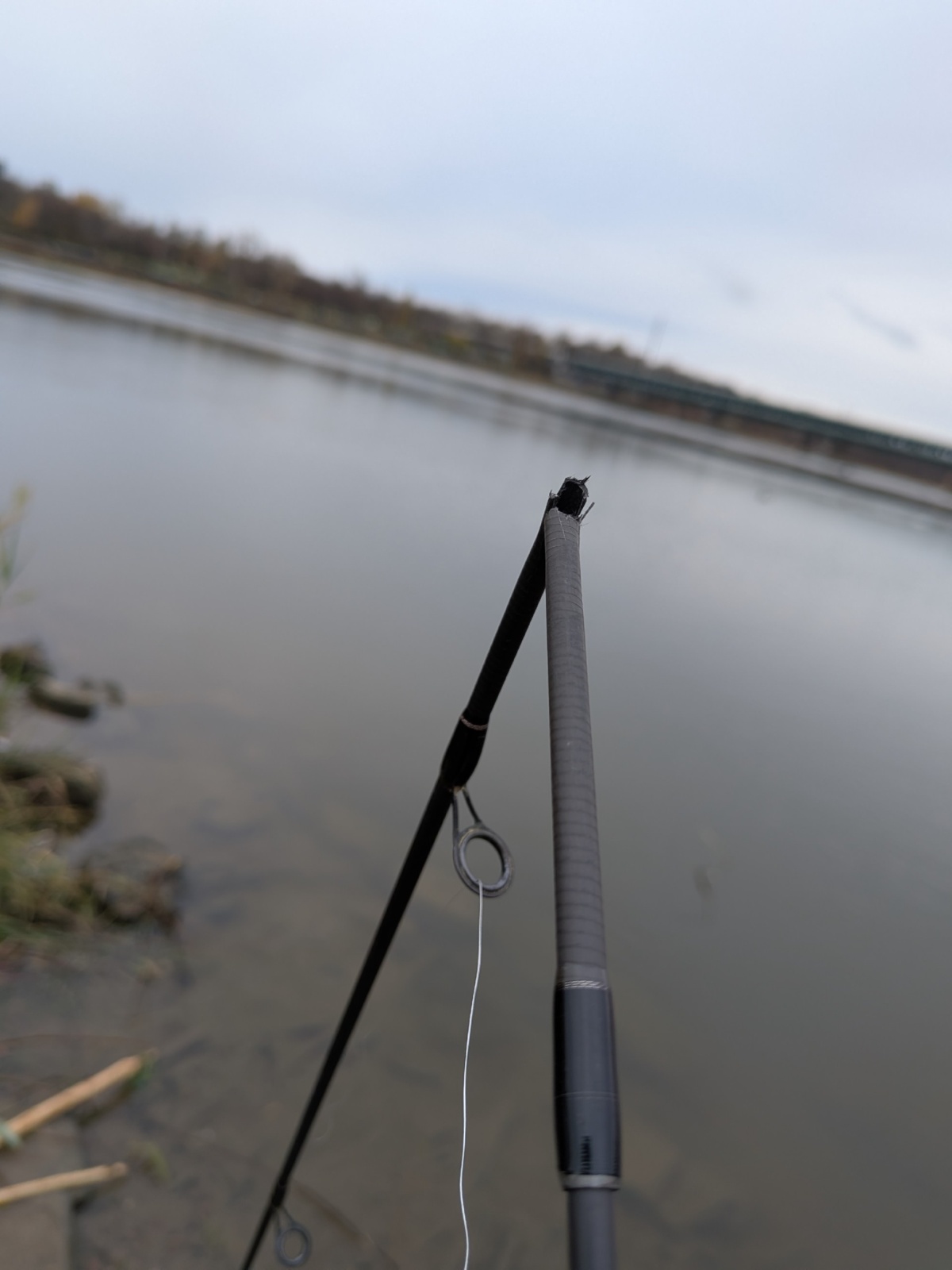 46346dbb-c73a-4b29-bb64-e27f9d6f7632