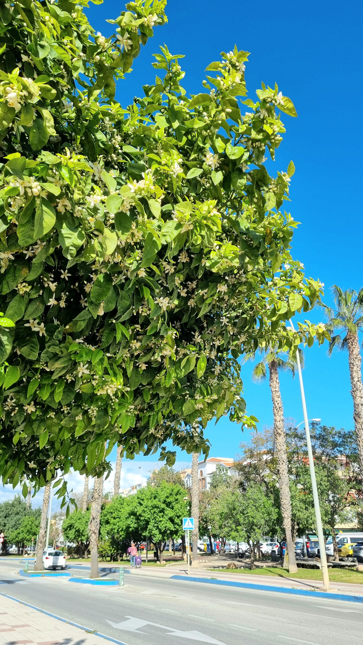 3f68b48d-83f5-4876-bdf1-c684915623f6