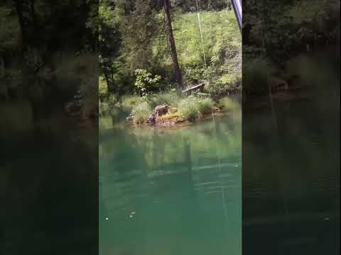 Niesamowity szczupak 93 cm! #shorts