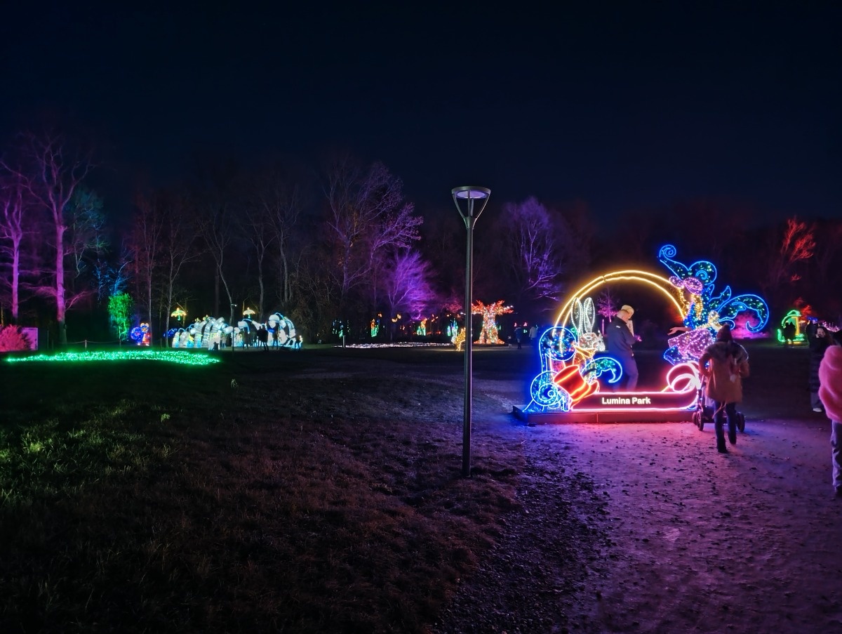 8b32615f-51cc-492b-8618-de1fb0779fa5