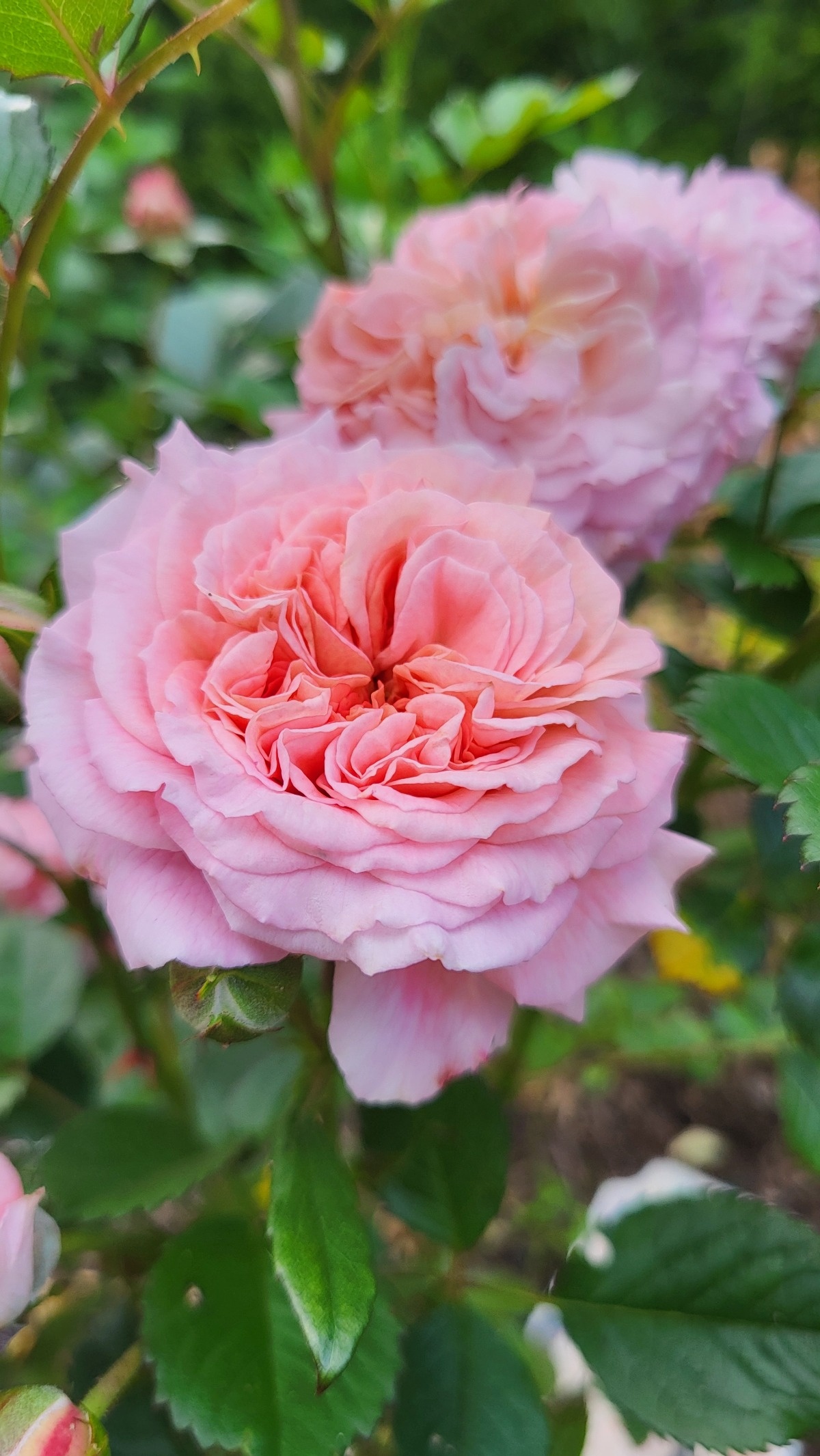 0b0ada91-dbe5-4a5c-9d80-415554b24c22