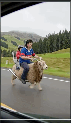 0289a8c8-e724-4364-891d-9755e4aa0228