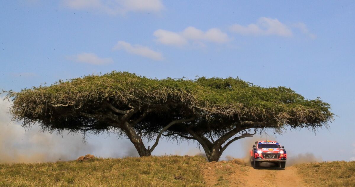 Rajdowe MŚ: Neuville nadal liderem Safari. Zasada na mecie trzeciego etapu