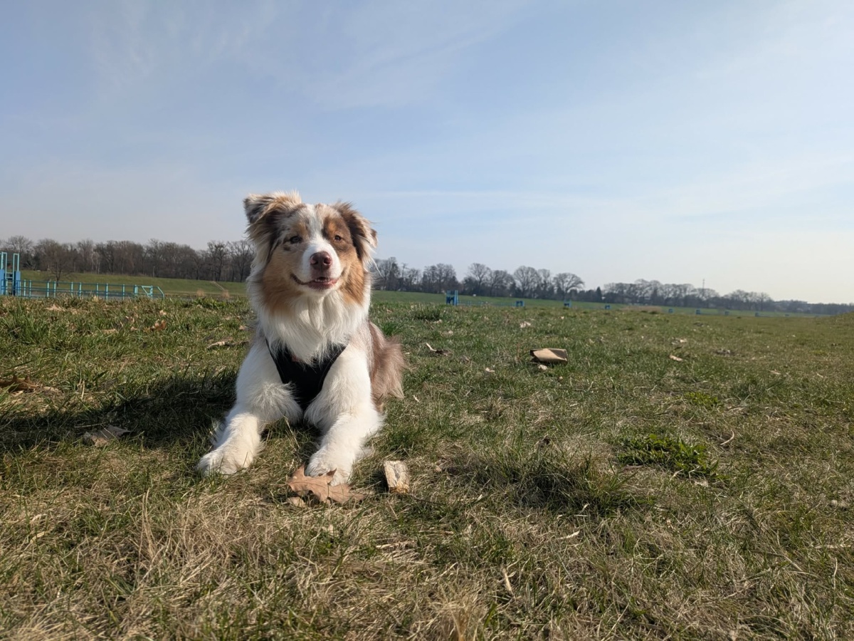 4eb40210-3741-4462-9d62-1c51b24aec60