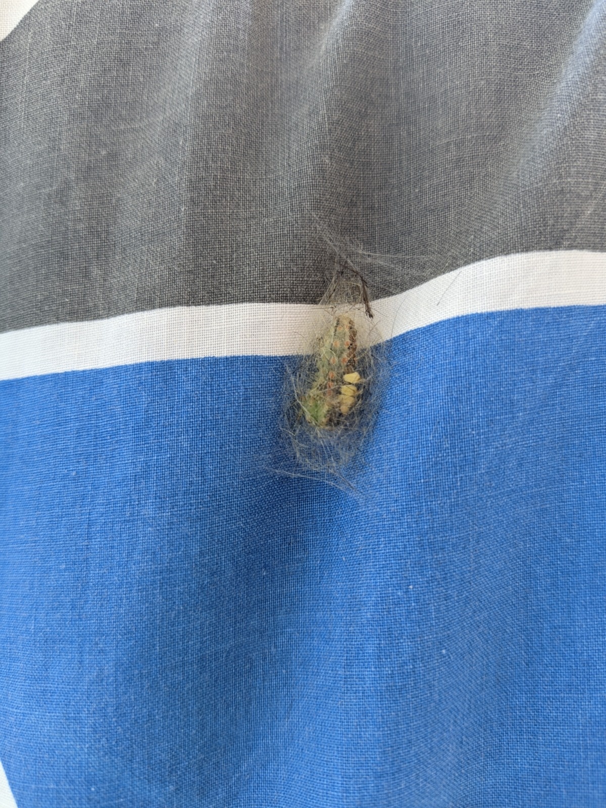 dda7e9e5-4381-4f38-8f7a-f9a5e1fb16b4