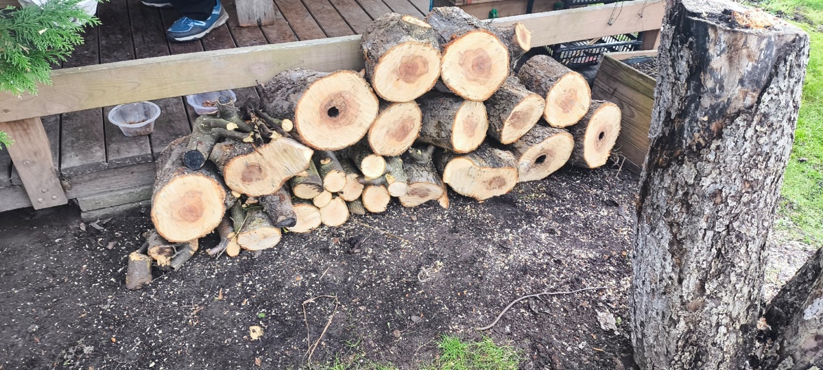 4cdb6808-c880-4ce1-b821-9bbf9027bb3b