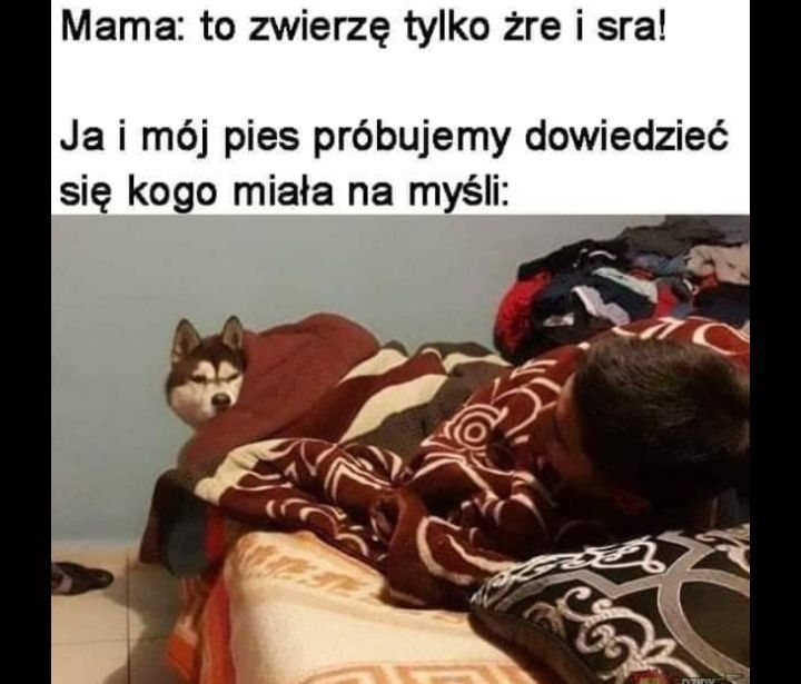 f177c22c-cc21-4f55-b84e-4c629af059a9