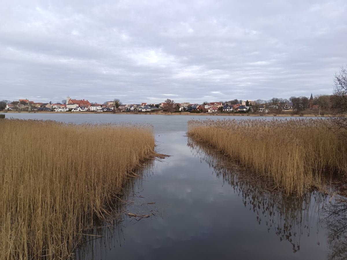 4aa9cd7b-2eeb-419f-b35c-87852f10330d