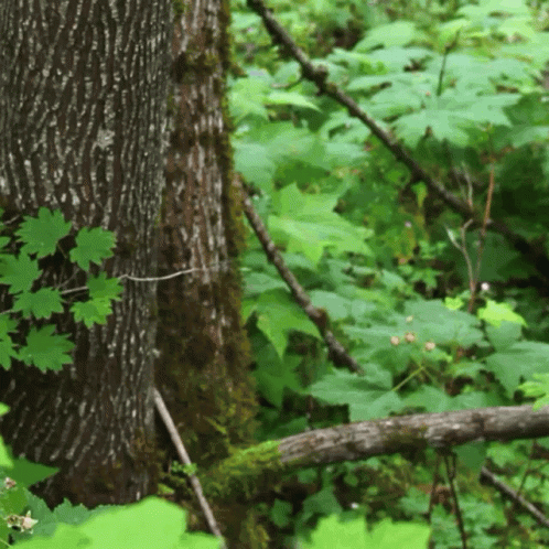 2a05ed59-0a84-45f8-aba4-12804577c4af