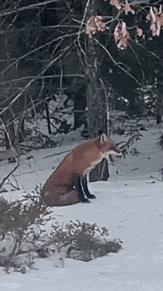 f40d625d-51d2-441e-a37f-fc74292cb6c7