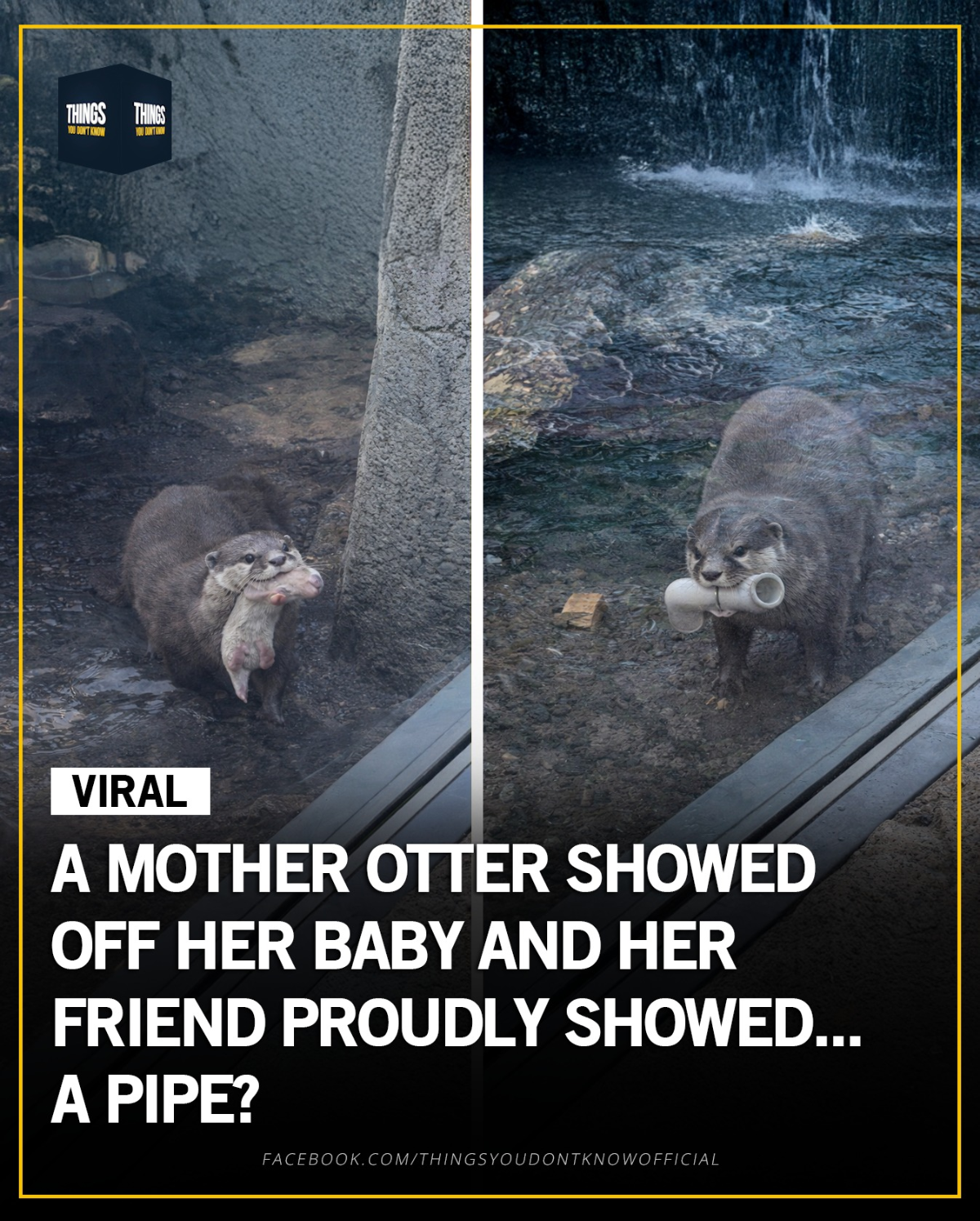 4ff5eefe-2994-4b4f-a6ce-99e144043e8f