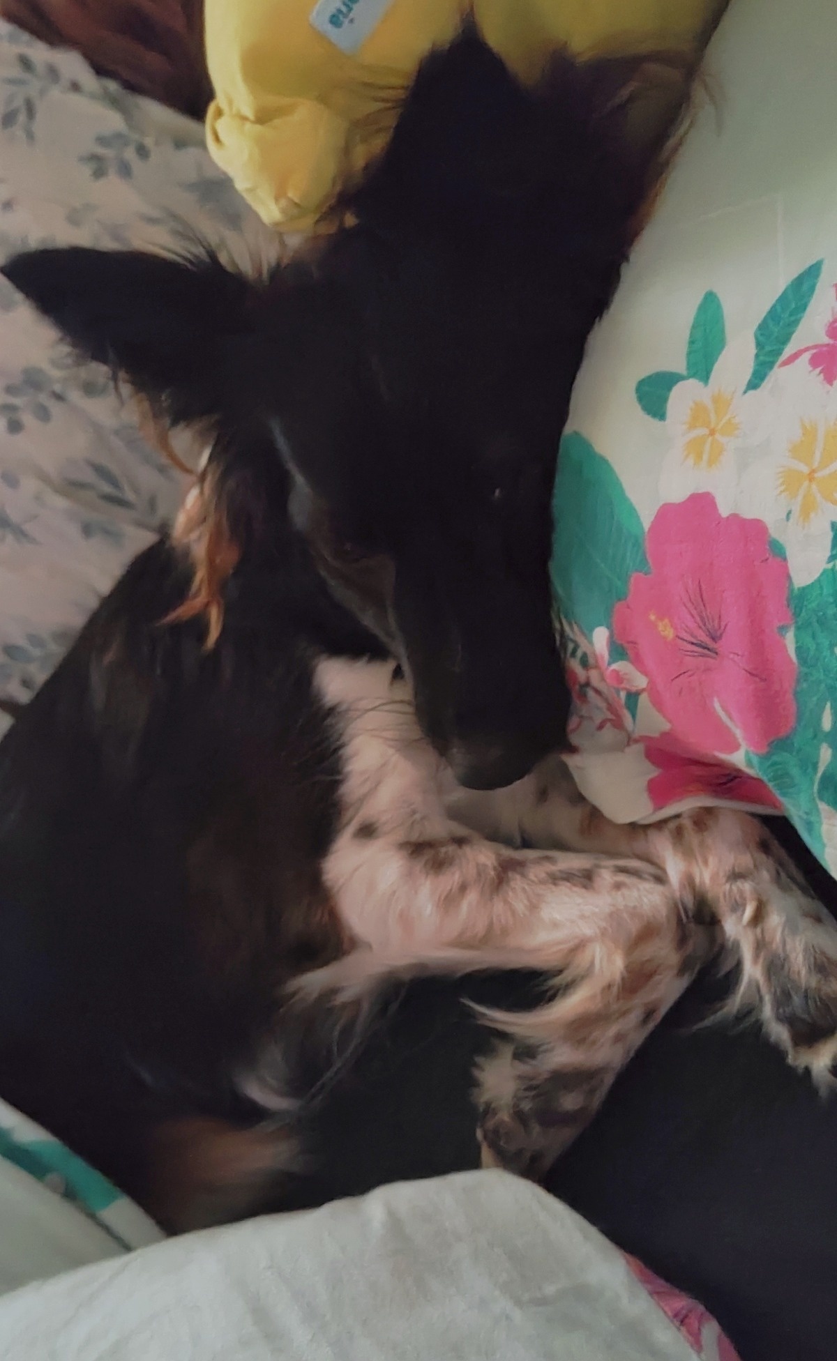 97feaa4d-8831-4271-9720-091685048d39