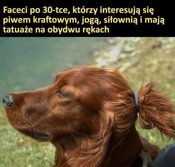 ff708e61-a955-45f8-925e-59f34793f4a3