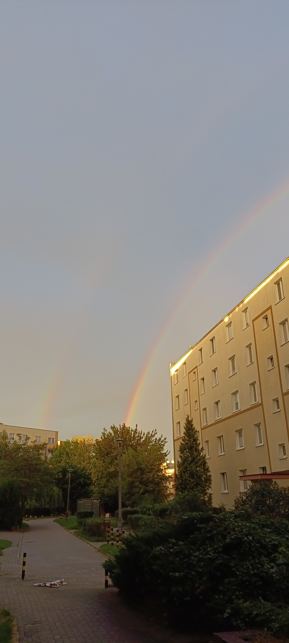 2bef04cb-2304-4420-aa08-66cce39ac96c