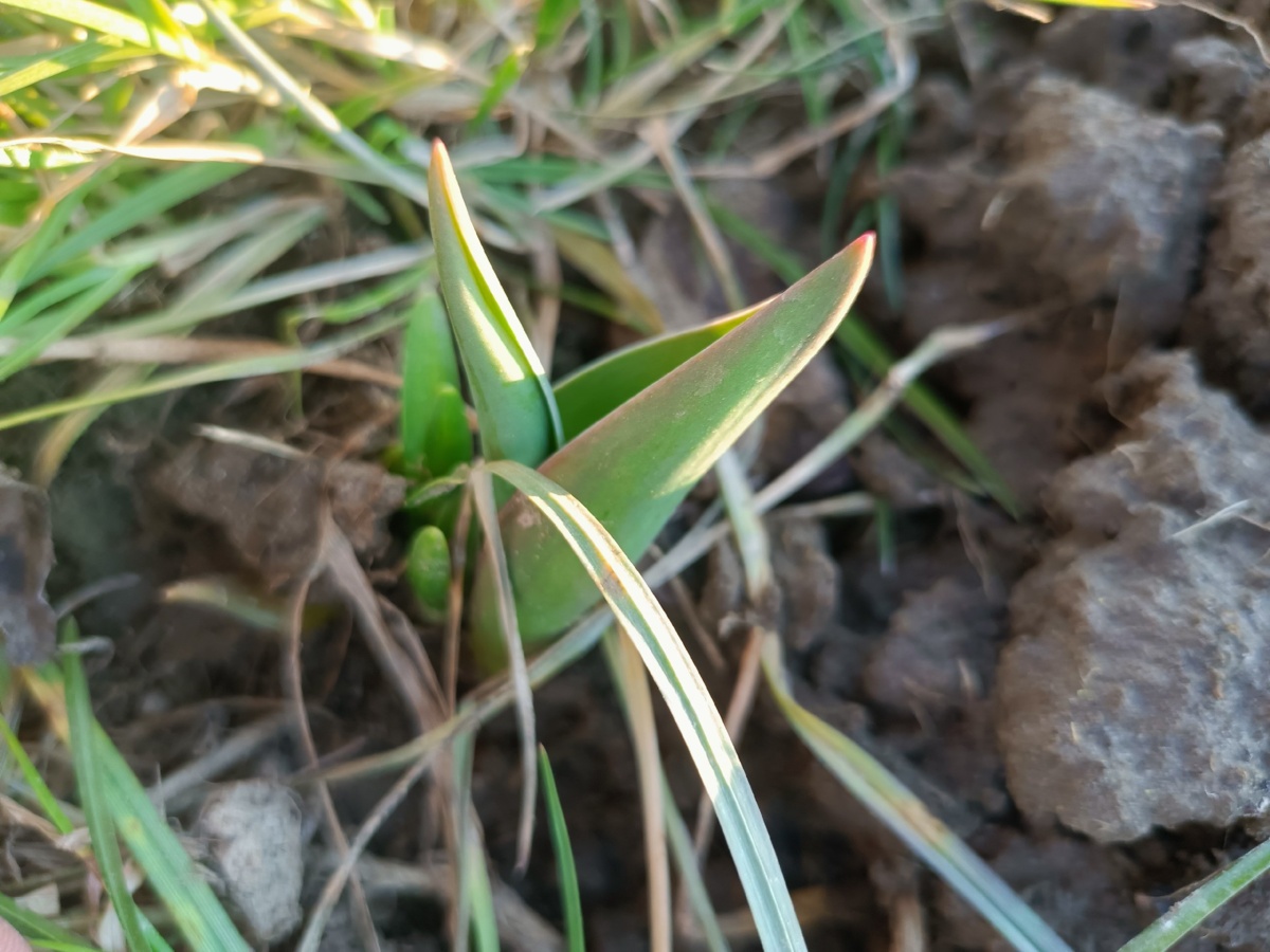 f56318e6-c741-4e66-9896-556dcaaec61c