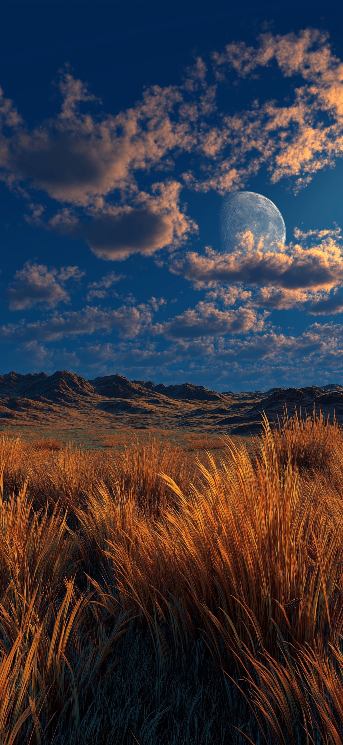 2b81833b-c3ca-43c6-9ae3-796c1d07702f