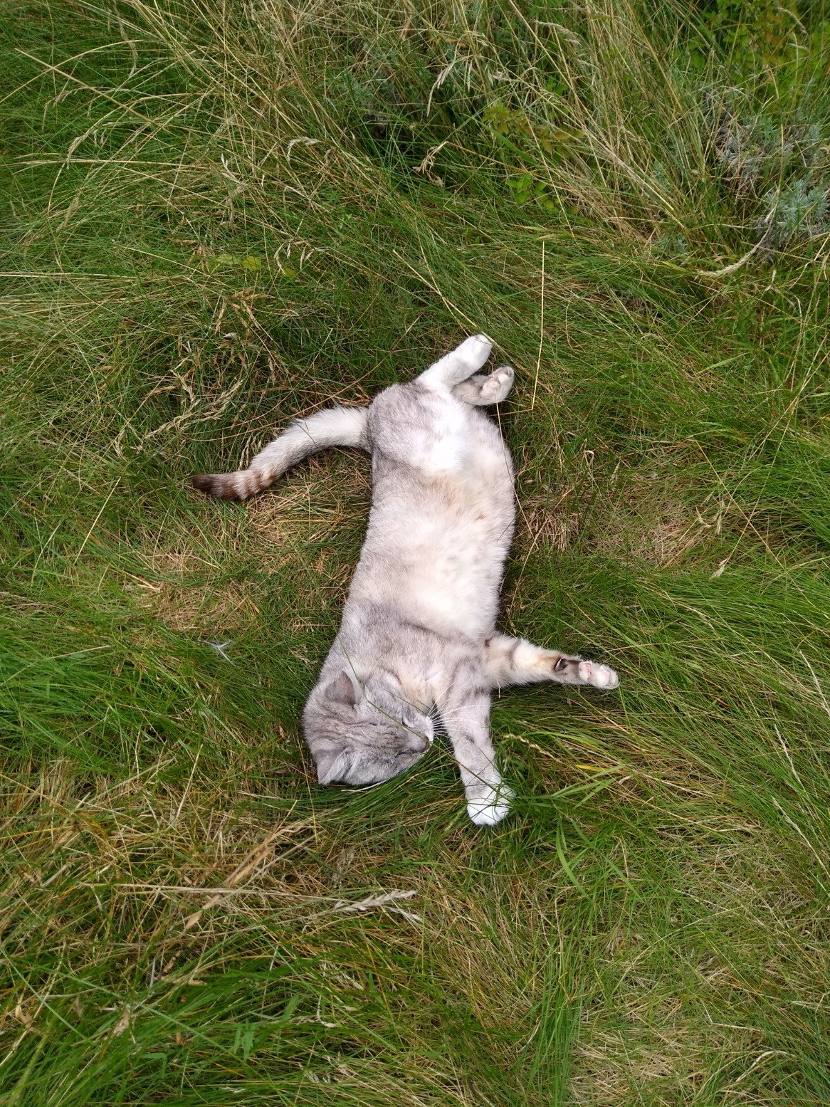 26e0ae50-5476-462d-9bc4-684f29ceb34f