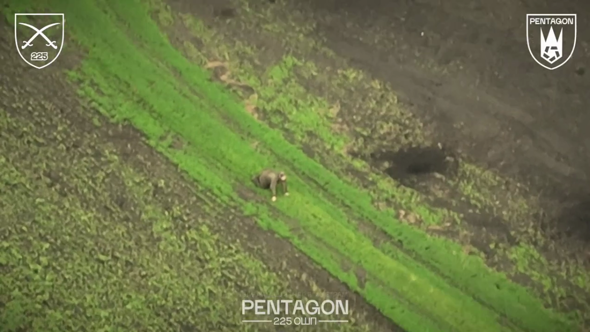 04402e81-fa2a-4d2e-afef-32b15b5b30bd