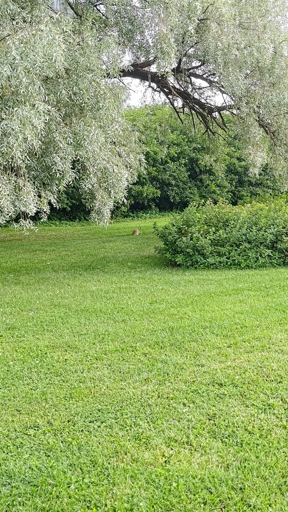 fa1beb1f-6abe-47a1-a4a9-e6820ef1b822