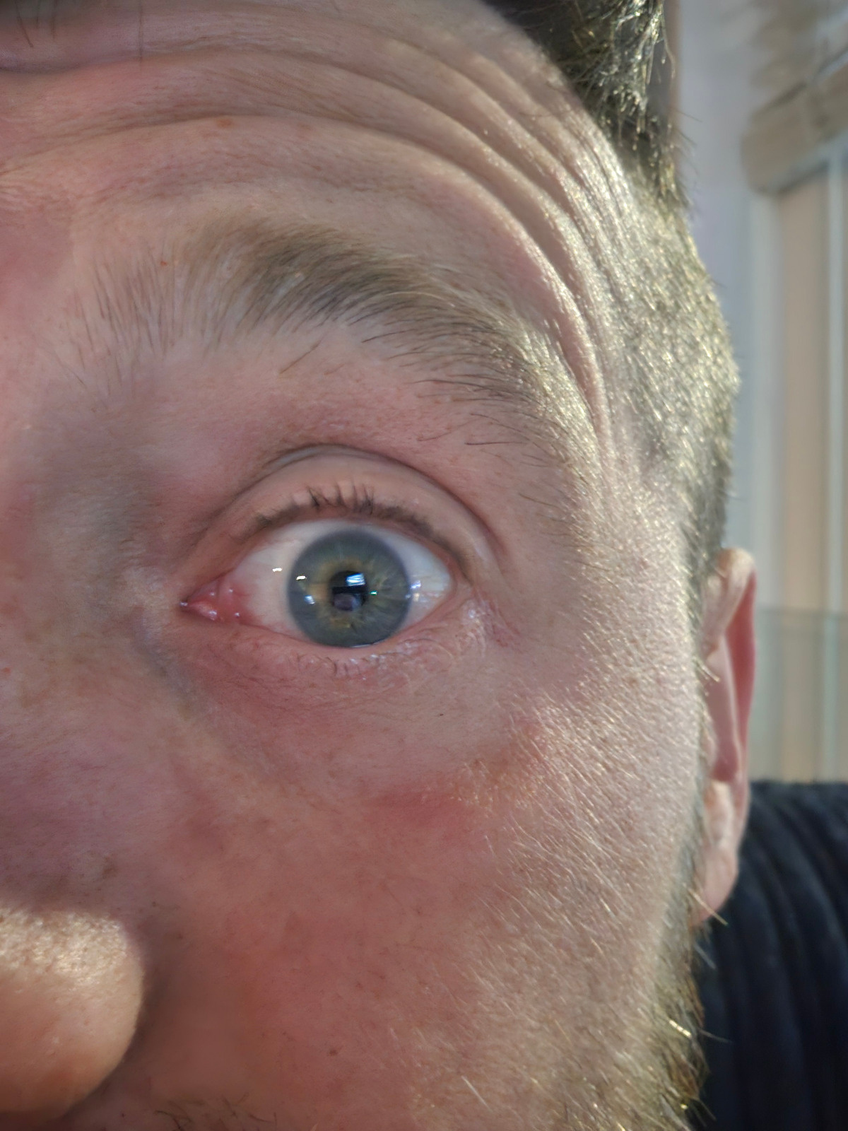 d185b670-4d5b-4206-a7db-a22adac0c302