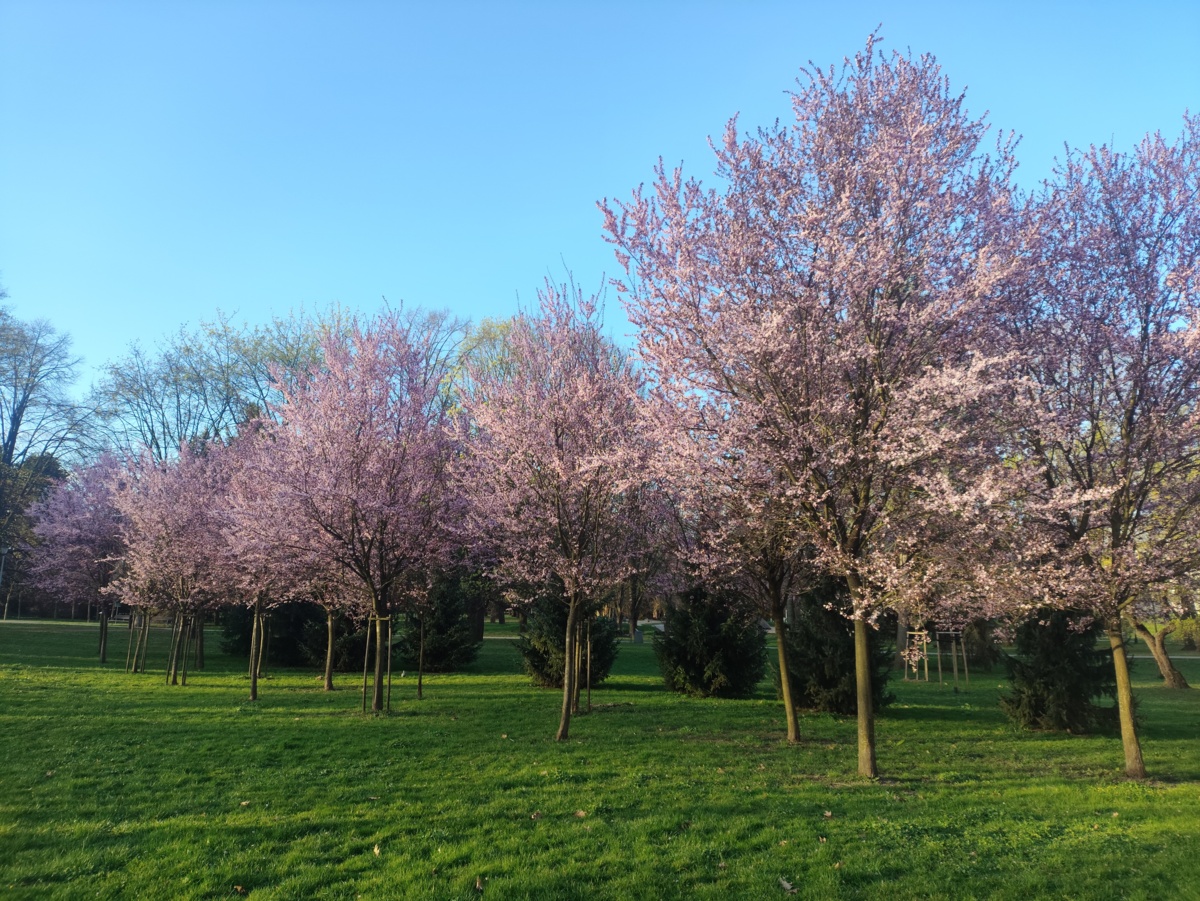 420f830e-0c3b-4ce4-b7cf-abe8358d6bdf