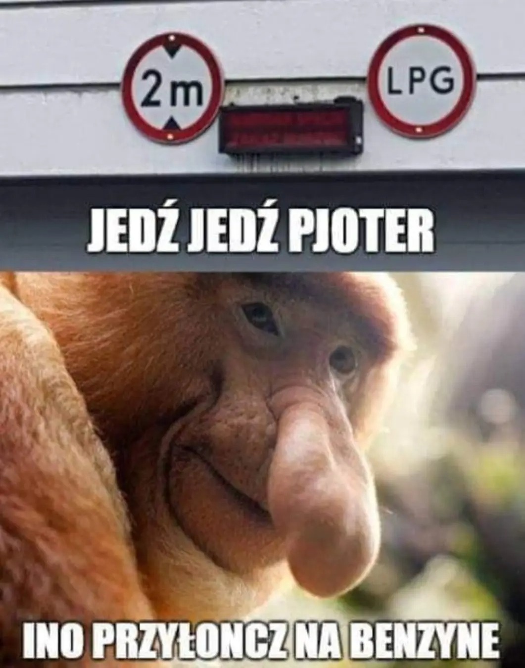 c4a6acda-7110-48d0-b96c-071985b33a79