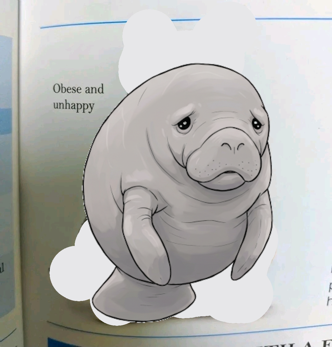 f28f9791-fc84-4c91-9bde-f38a507d4d73