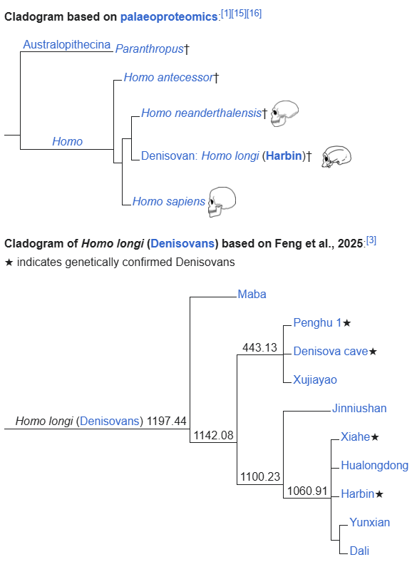 Zrzut ekranu 2025-09-29 101405.png