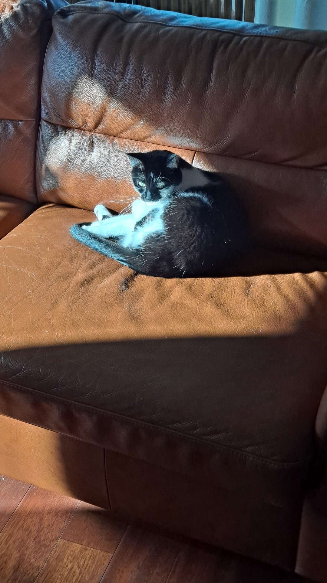 65894a89-a7a0-495b-80dd-9378a32d8e1a