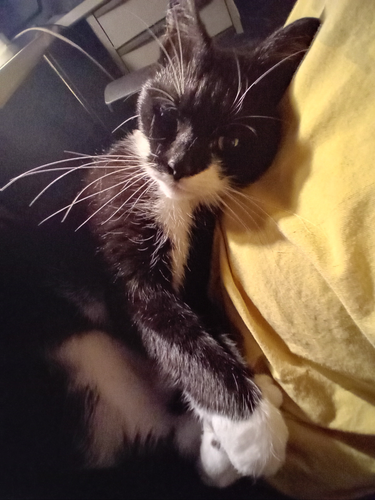 f59273f1-6250-4e6e-804a-4291b4936c07