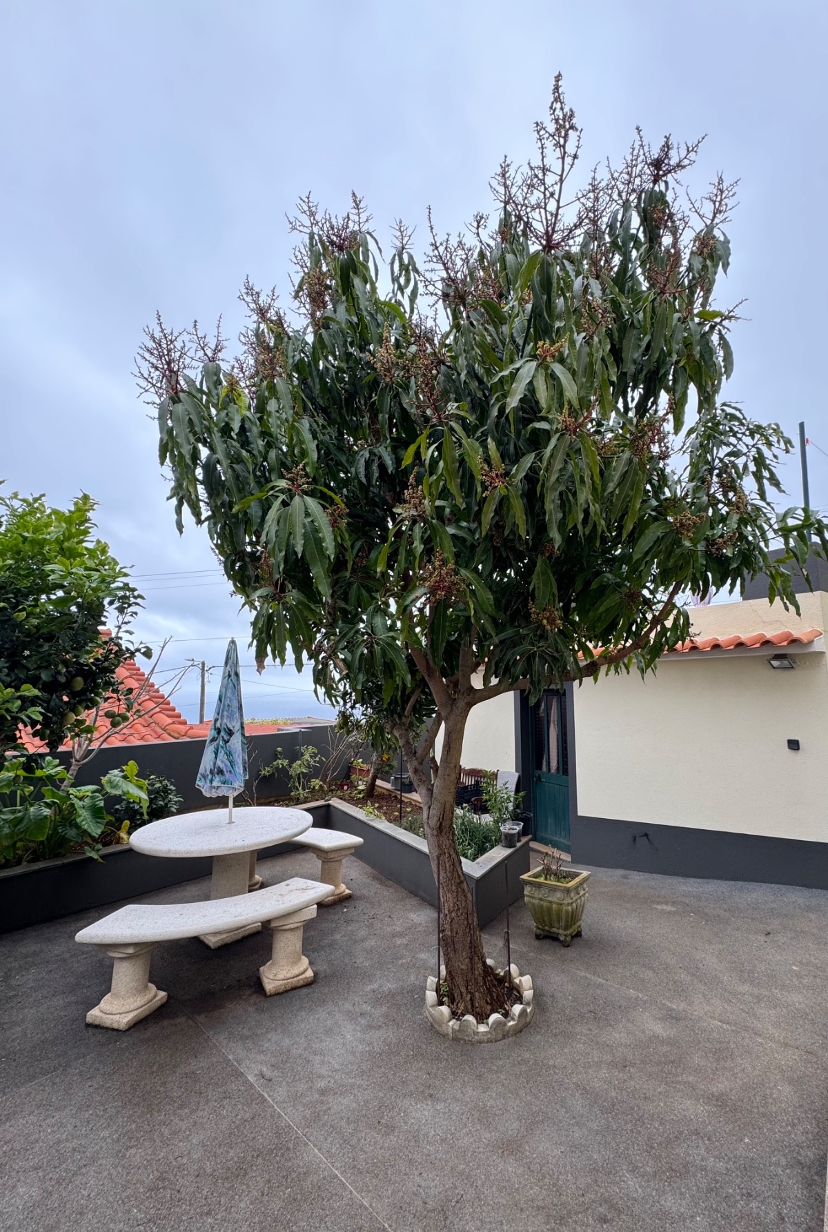 d22939f3-9e0d-4433-89f7-599a950a0347