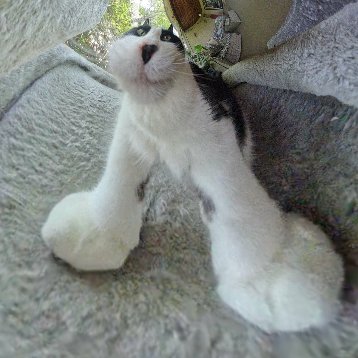 3d048471-c19a-467f-afc9-b05f345ebabe